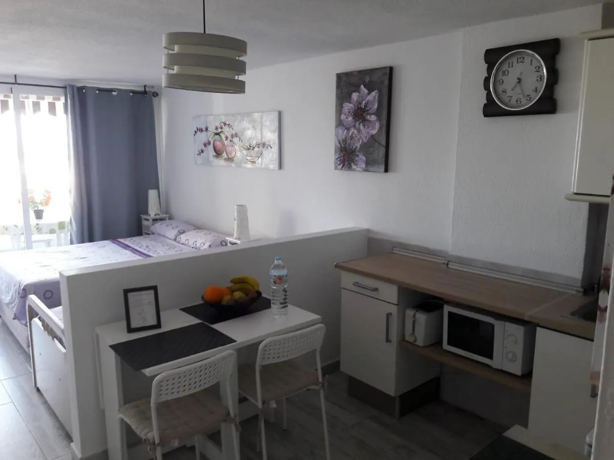 Borinquen Con Vista Mar Apartment Playa Fanabe Spain