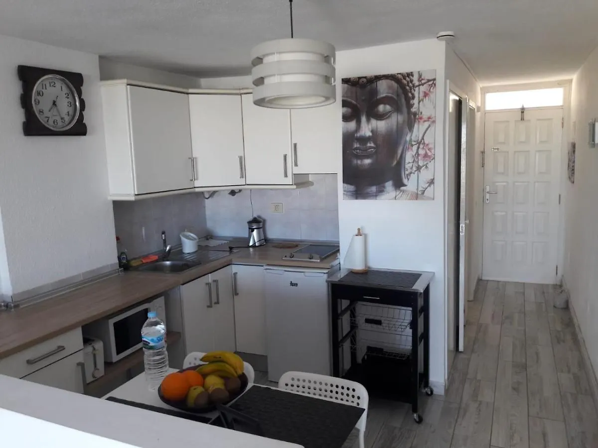 Borinquen Con Vista Mar Apartment Playa Fanabe 0*,  Spain